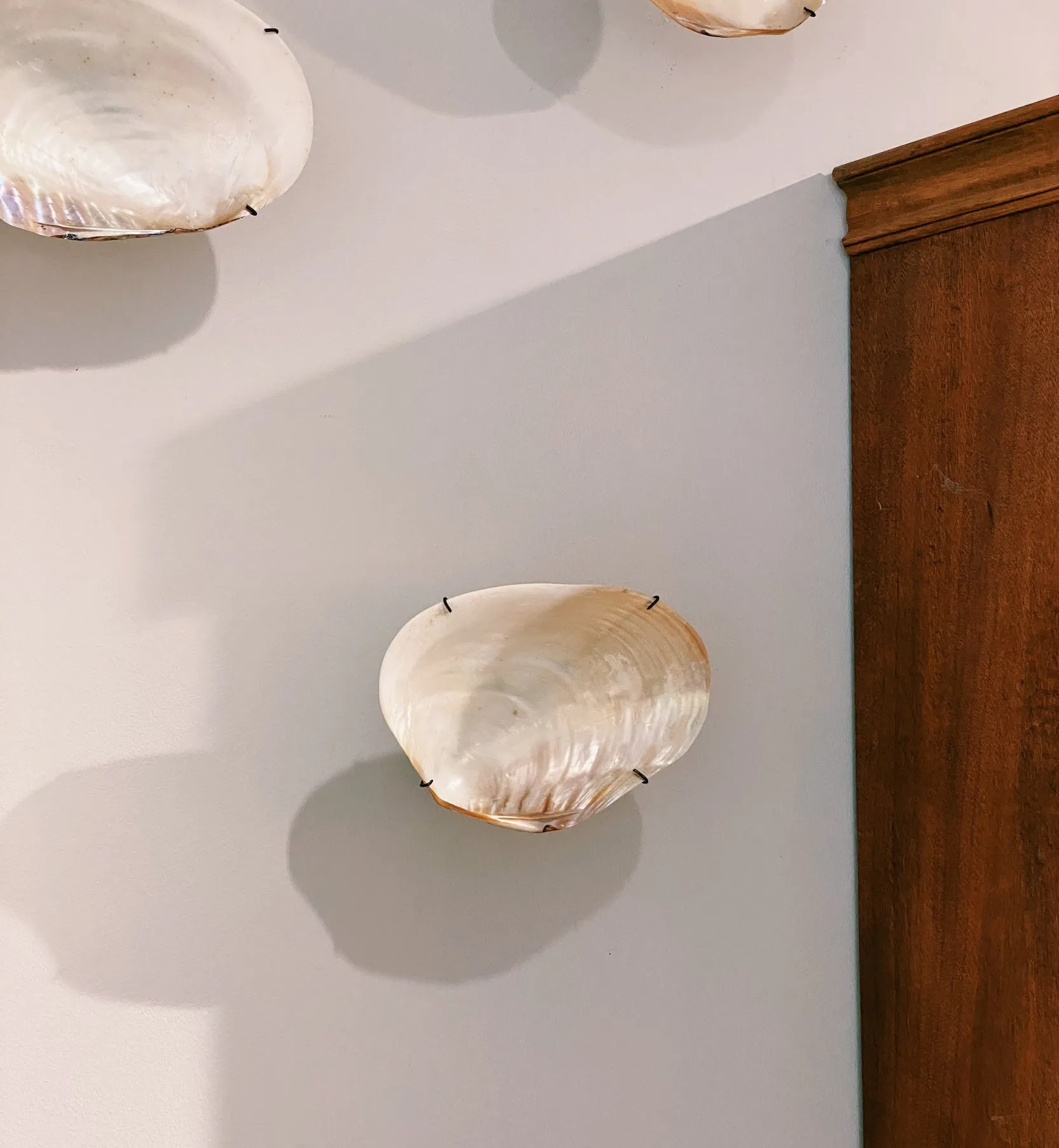 Bali Shell Wall Object