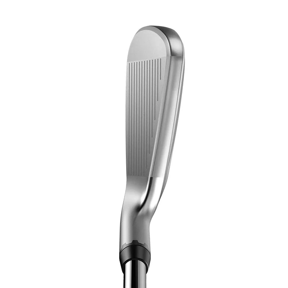 Cobra King Utility Silver Iron