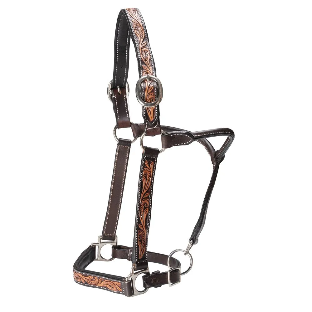 Fort Worth Leather Halter w/Tooled Pattern